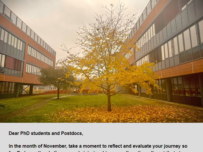 Newsletter for PhD students and Postdocs of the Faculty of Science MU 11/2024