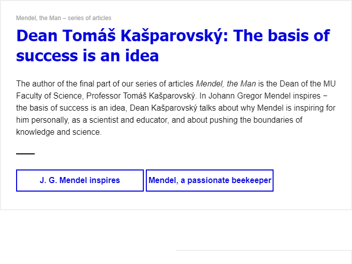 Newsletter for employees